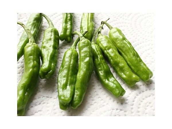 ししとうがらし