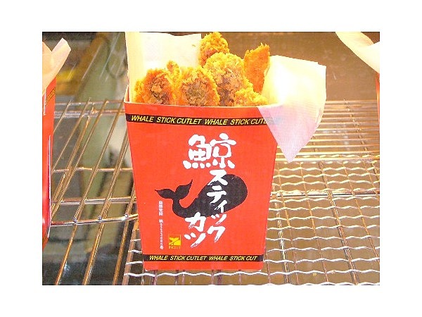 クジラスティック