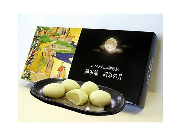 熊本城 昭君の月