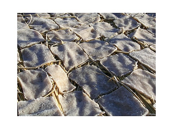 凍みこんにゃく