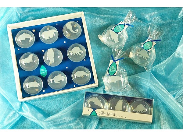 海のなかま しおゼリー