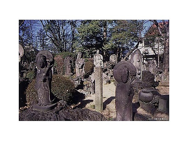 明治寺（百観音）