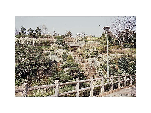 西郷山公園