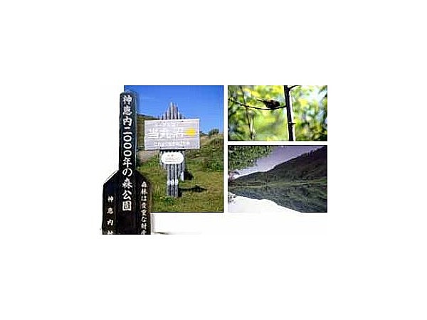 神恵内2000年の森公園