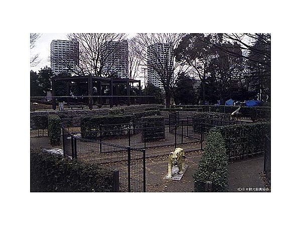 戸山公園(交通公園)