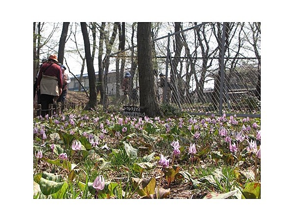 清水山憩いの森