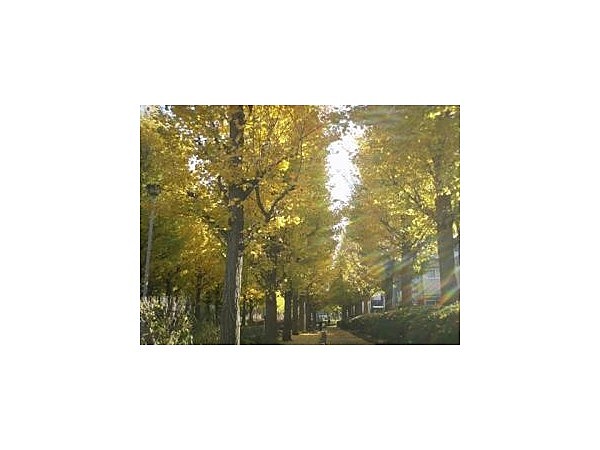 西亀有せせらぎ公園