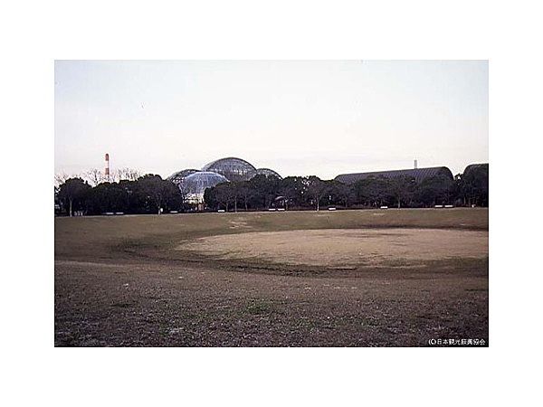 都立夢の島公園