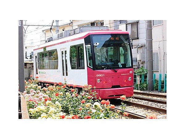 都電沿線のバラ