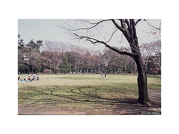 駒場公園