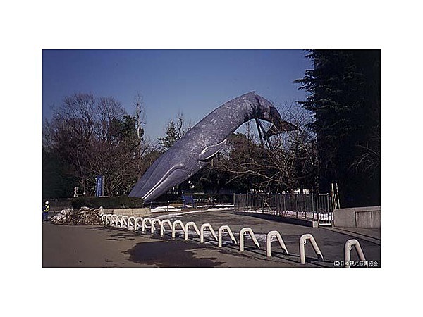 国立科学博物館