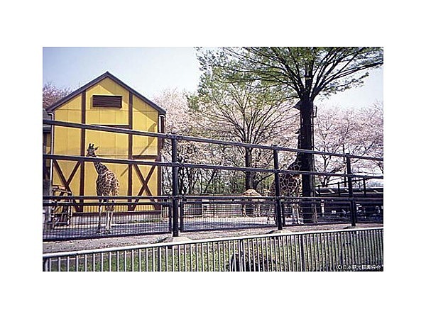 羽村市動物公園