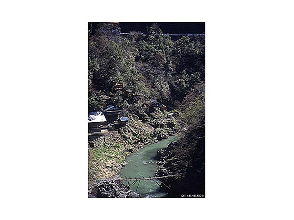 鳩の巣バンガロー