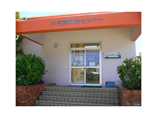 小笠原海洋センター