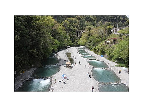 氷川国際マス釣場