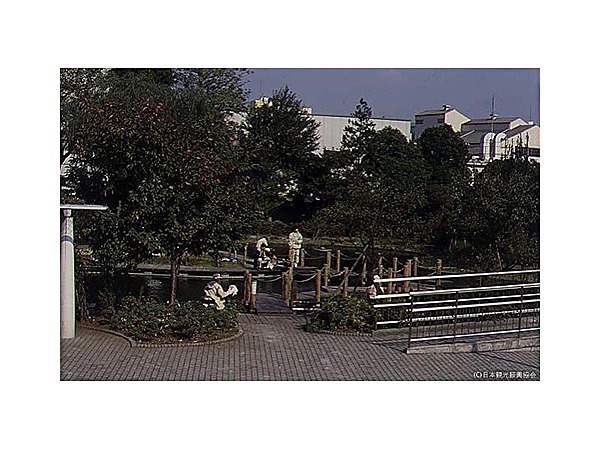 浮間つり堀公園