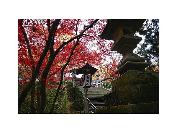 大雄山最乗寺（道了尊）