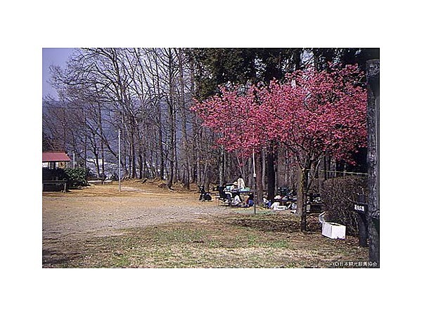 相模湖自然公園ふるさとの森