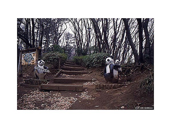 高麗山公園子どもの森キャンプ場