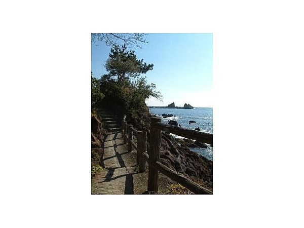 県立真鶴半島自然公園