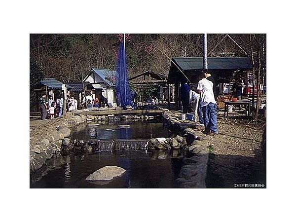 谷太郎キャンプ場「清川リバーランド」