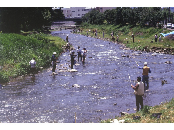 藤木川・千歳川