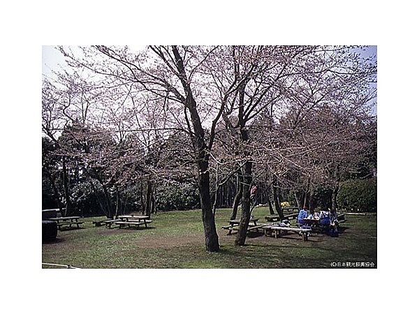 最明寺史跡公園