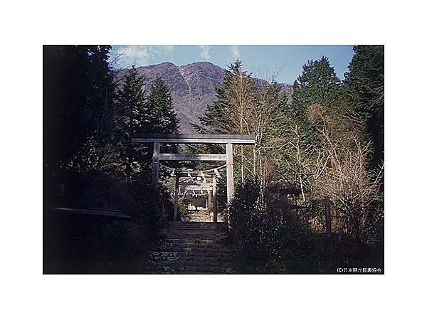 金時公園（神奈川県）