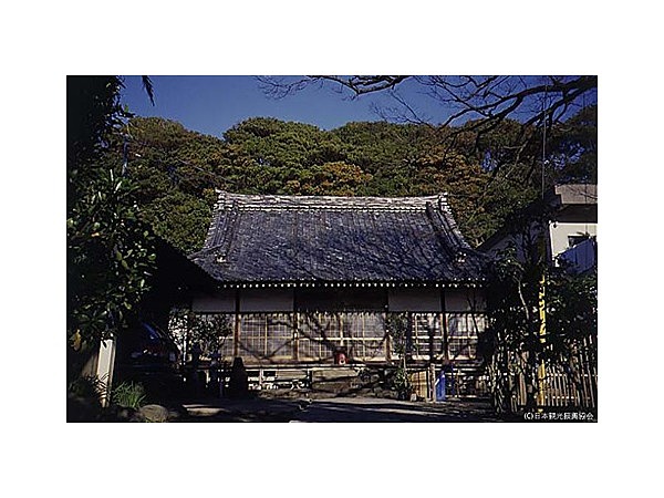 大椿寺