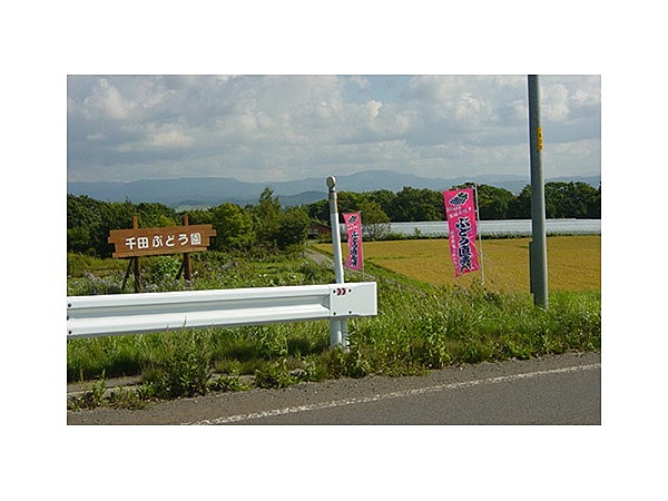 千田ぶどう園