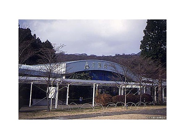 箱根園水族館