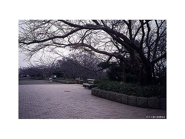 湘南平(高麗山公園)