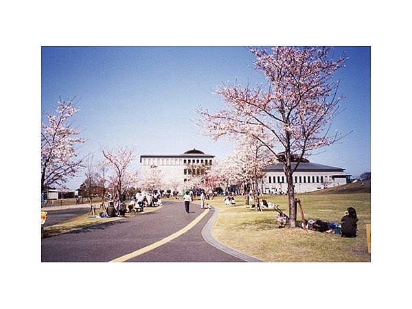 さむかわ中央公園