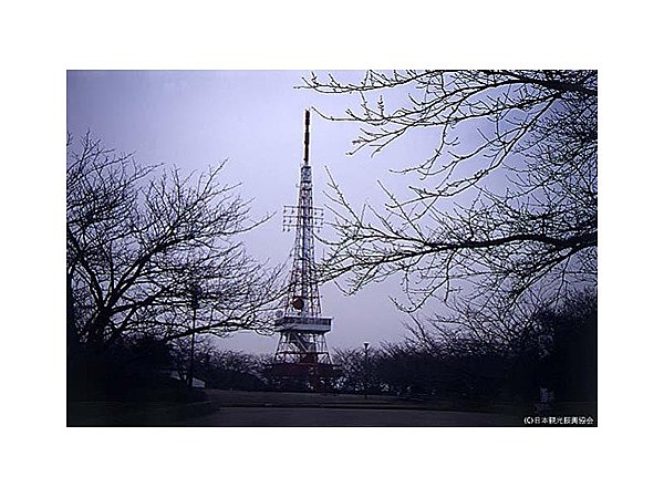 湘南平展望台(TV塔)