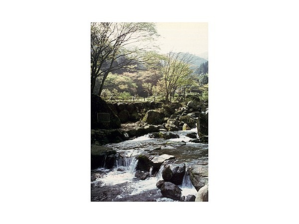 畑宿清流マス釣場