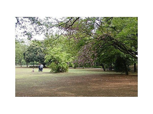 城山公園(神奈川県)