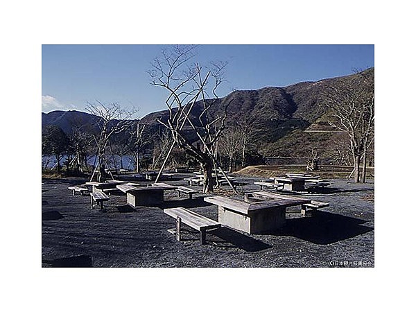 芦ノ湖キャンプ村