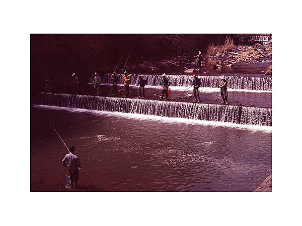 宮城野国際マス釣場