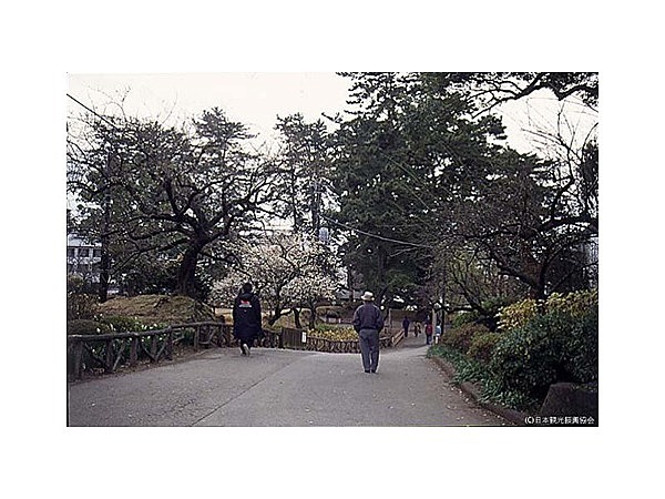 小田原城址公園