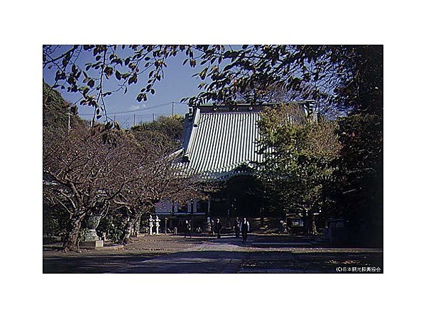 光明寺(神奈川県 鎌倉市)