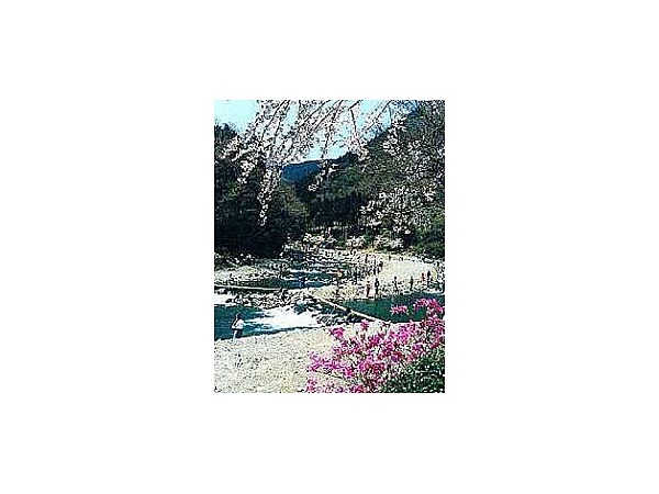 リヴァスポット早戸