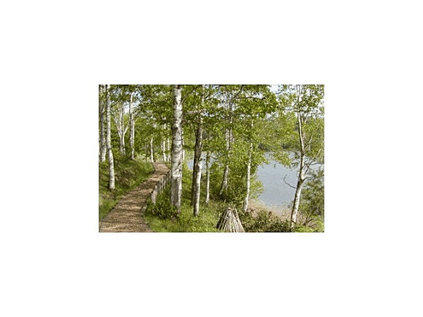 ふうれん望湖台自然公園キャンプ場