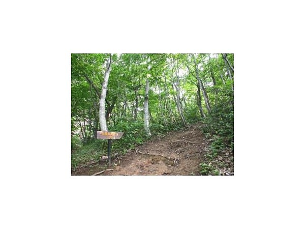 大蔵山・大蔵山登山口