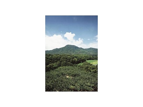 角田山・五りん石登山口