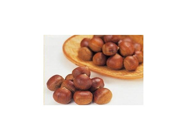 村川観光栗園【栗拾い・サツマイモ掘り】