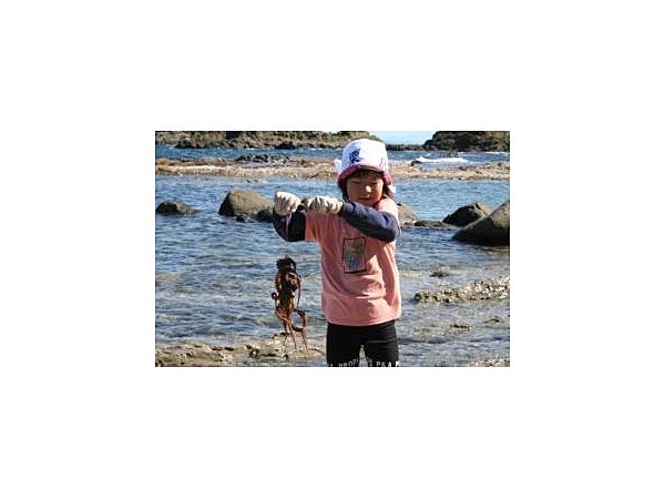 磯ダコ捕りツアー2012(三回目)