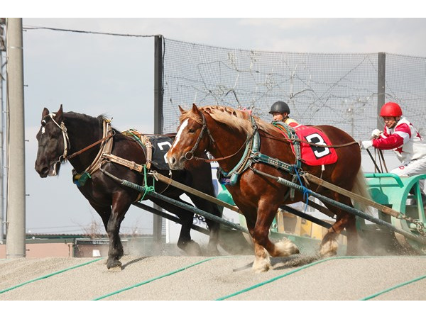 帯広競馬場（ばんえい十勝）