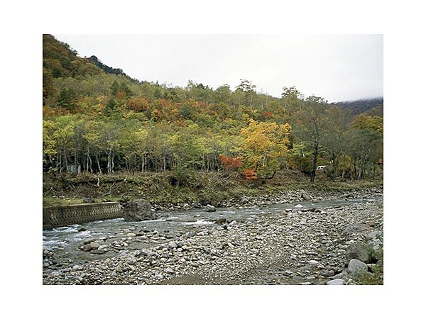 関川水系河川【釣り場】