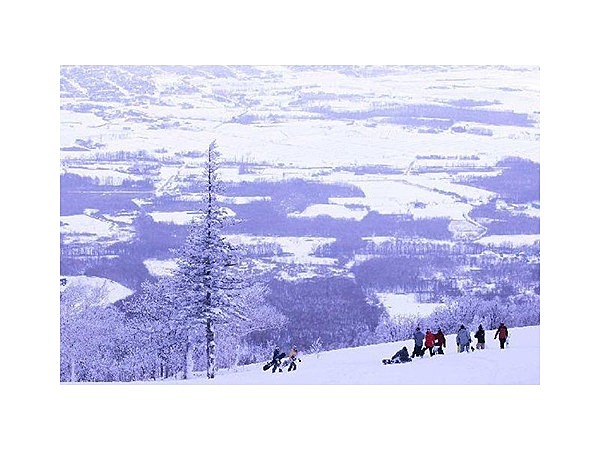 ニセコいわない国際スキー場