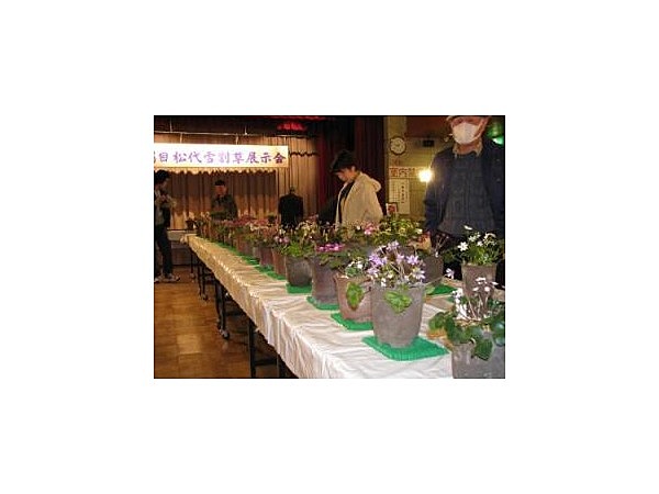 まつだい駅まつり